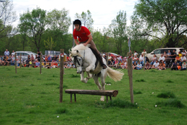 el berrueco caballos dsc 0110