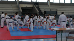 ActBuitragoKarate MG 9007