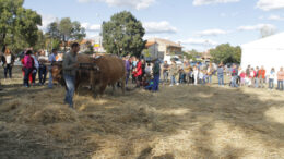 ElBerruecoFeria MG 1850