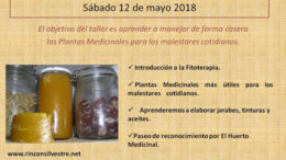 TallerPLantas12mayo