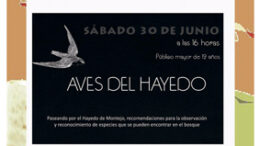 HayedoAves30jun