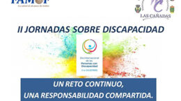 SotoDiscapacidad18