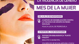 PedrezuelaViolencianov19