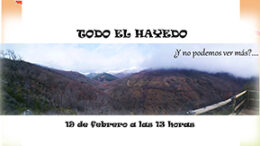 Hayado19feb